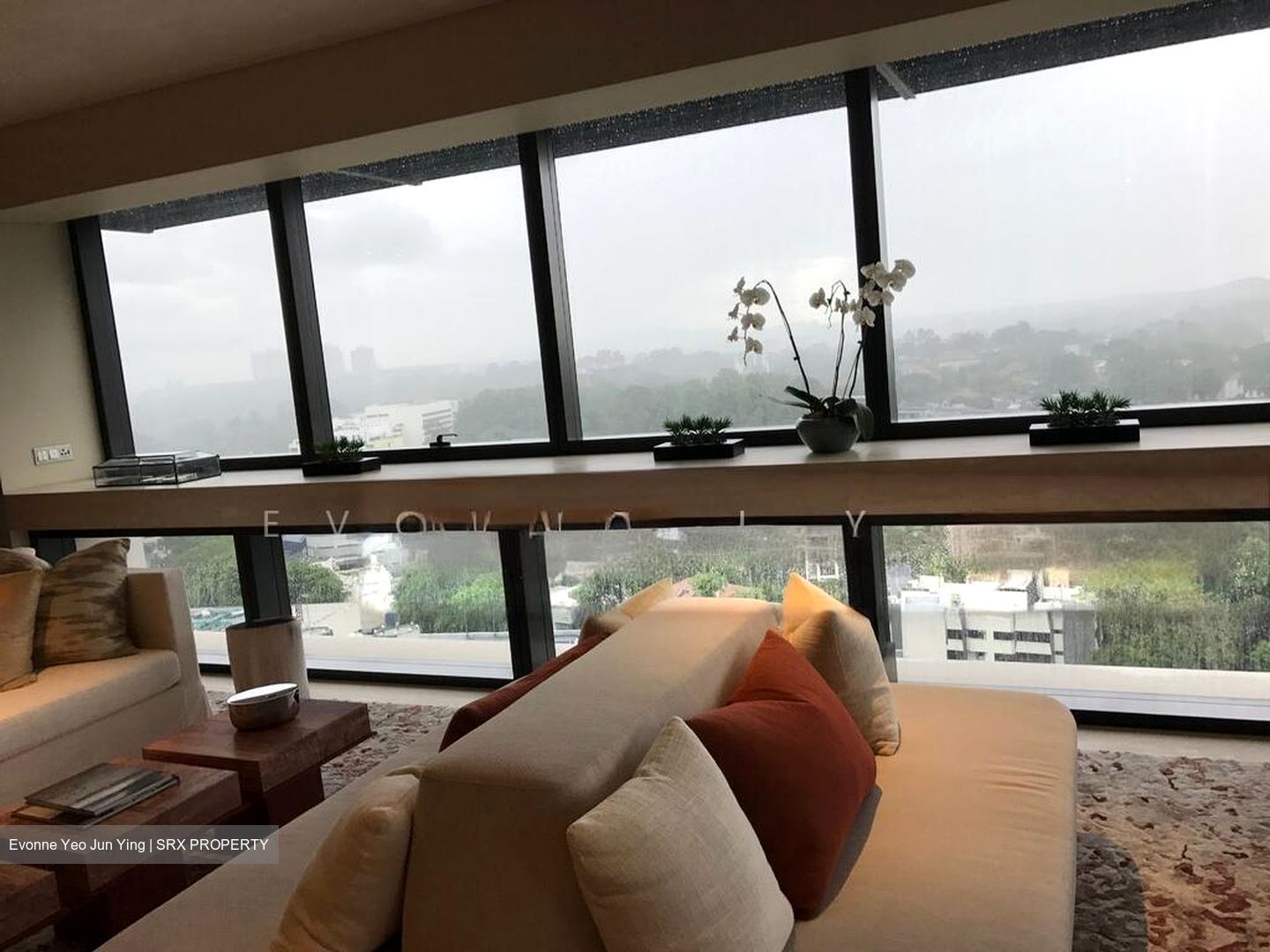 Hana (D10), Condominium #503163091